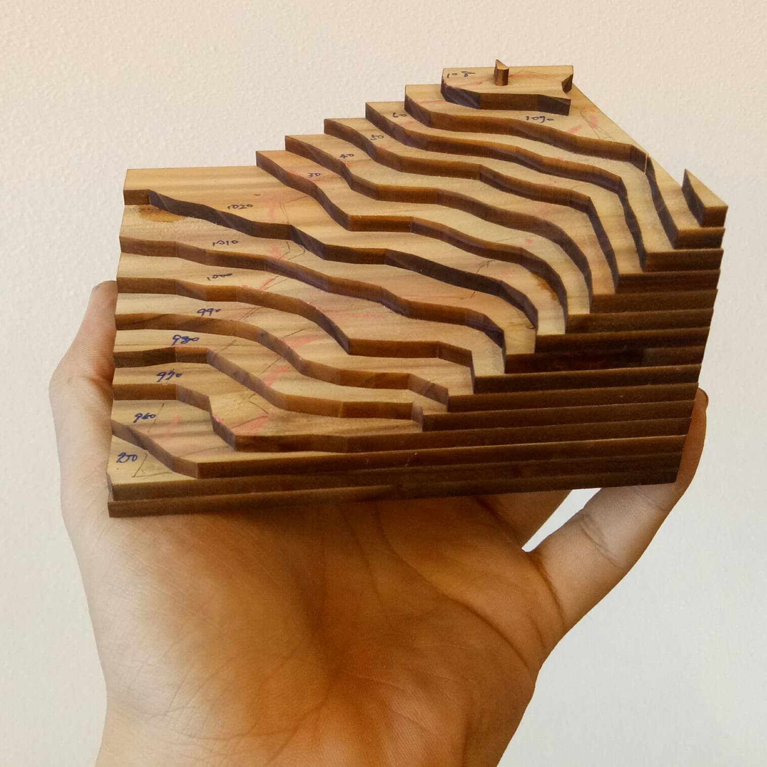 蠹 - Nerd 雷射雕刻木作 — 等高線地形客製木雕模型，手持展示
